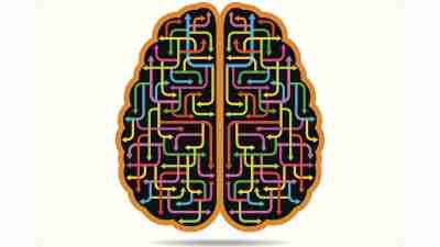 An illustration of a brain, and the complex pathways of ADHD emotions.