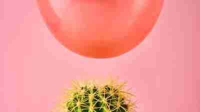 Red balloon fall on cactus needle on pink background. Danger or protection concept. Rejection sensitive dysphoria concept.